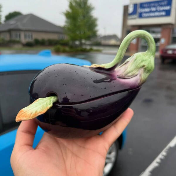 Hidden Gems Found at the Thrift Store