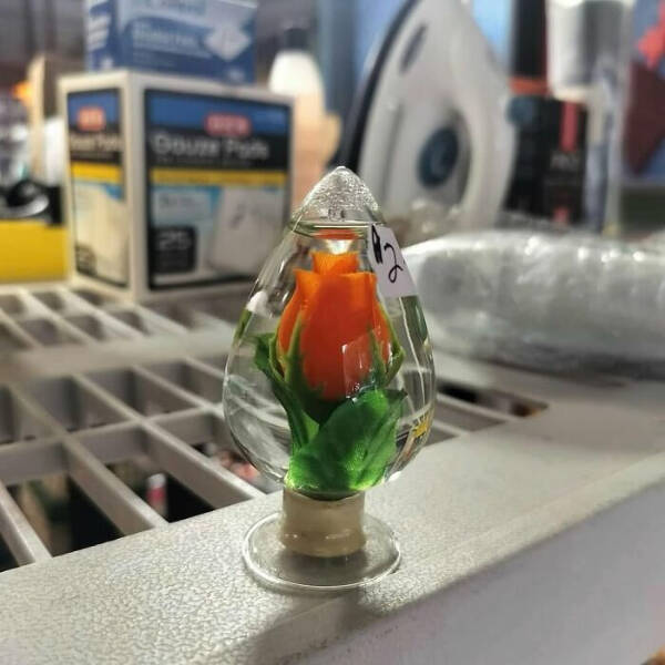 Hidden Gems Found at the Thrift Store