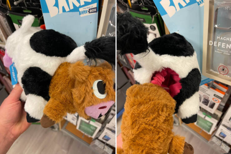 Nope! Do Not Want That