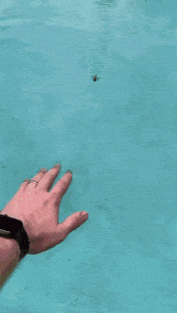 Daily Gifdump Daily Gifdump