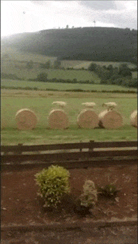 Daily Gifdump Daily Gifdump