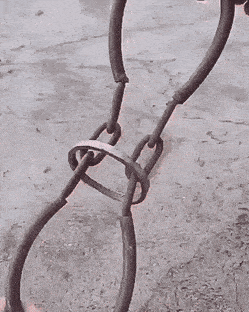 Daily Gifdump Daily Gifdump