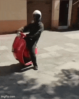 Daily Gifdump Daily Gifdump