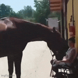 Daily Gifdump Daily Gifdump