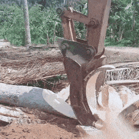 Daily Gifdump Daily Gifdump