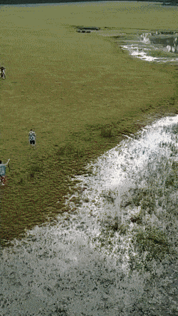 Daily Gifdump Daily Gifdump