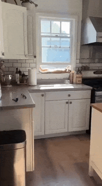 Daily Gifdump Daily Gifdump