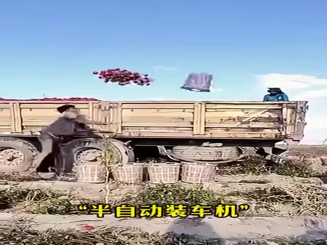 Masters Of Their Craft