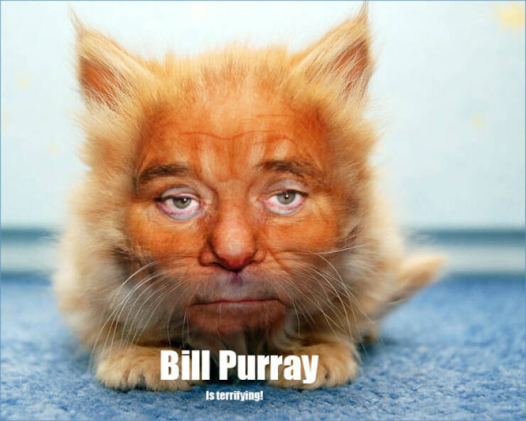 Archive Memes That Still Hit Different