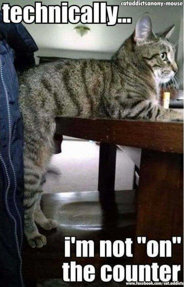 Archive Memes That Still Hit Different