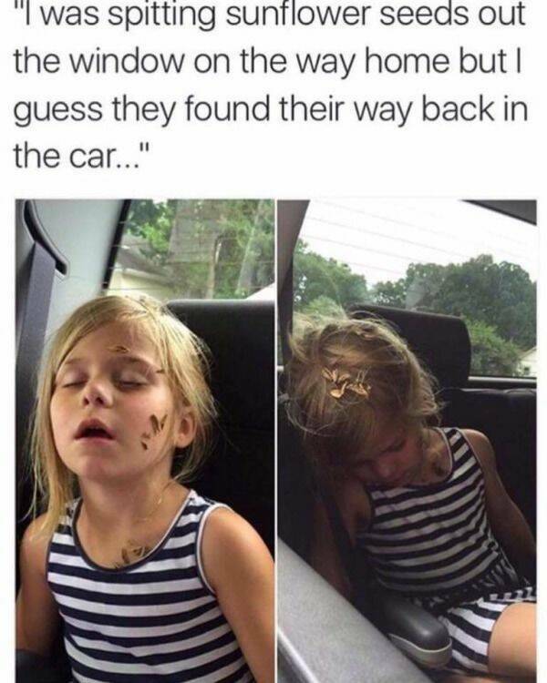 Archive Memes That Still Hit Different