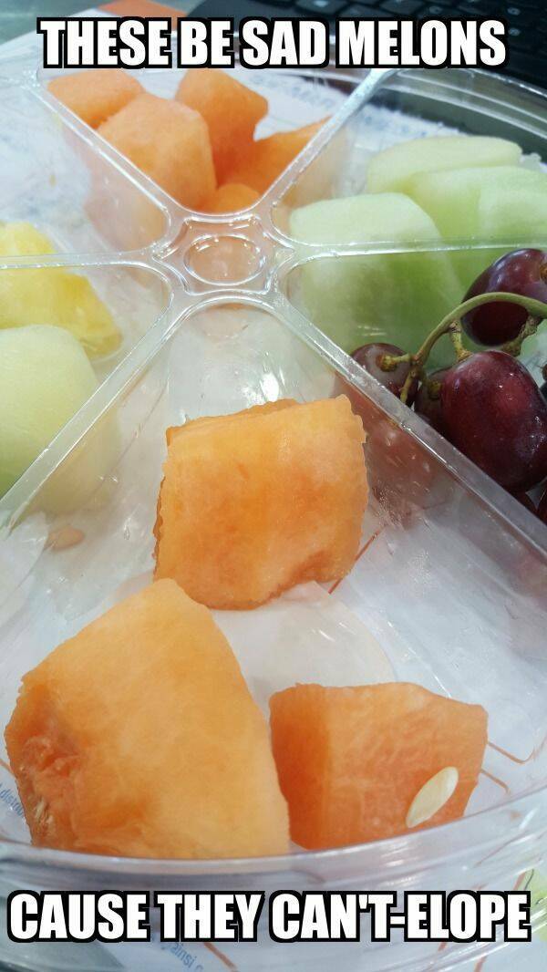 Archive Memes That Still Hit Different