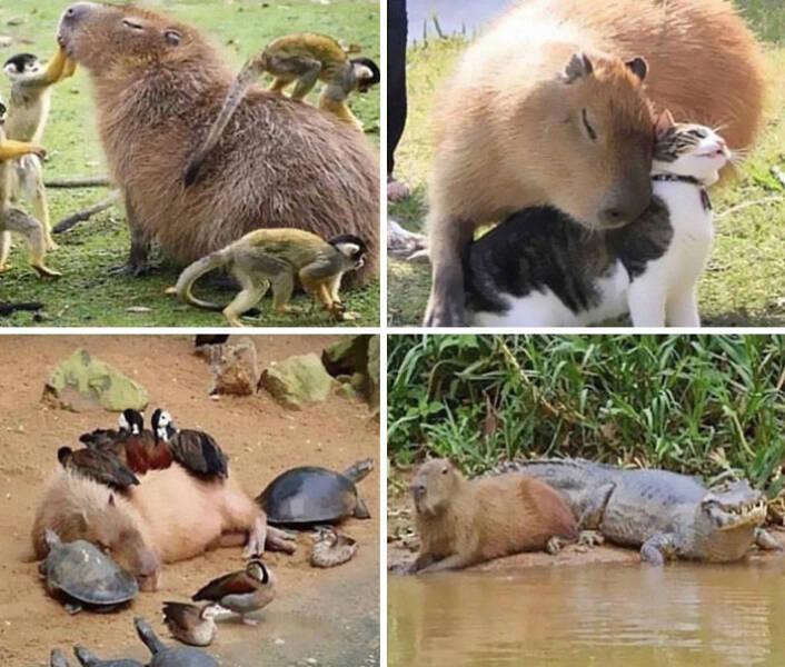 Feel-Good Moments to Brighten Your Day