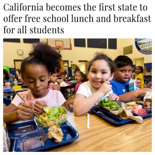 Feel-Good Moments to Brighten Your Day