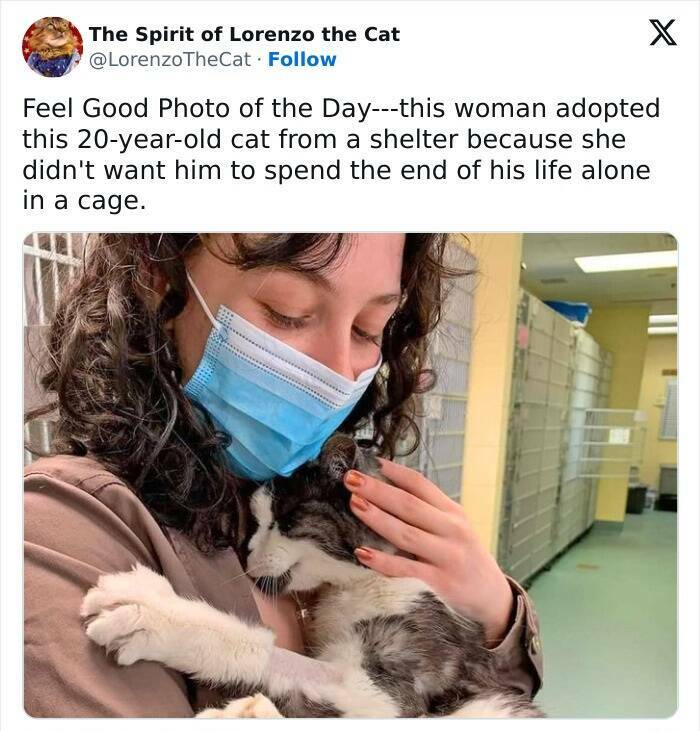 Feel-Good Moments to Brighten Your Day