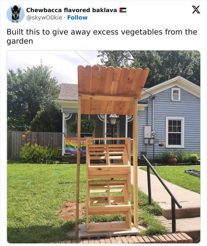 Feel-Good Moments to Brighten Your Day