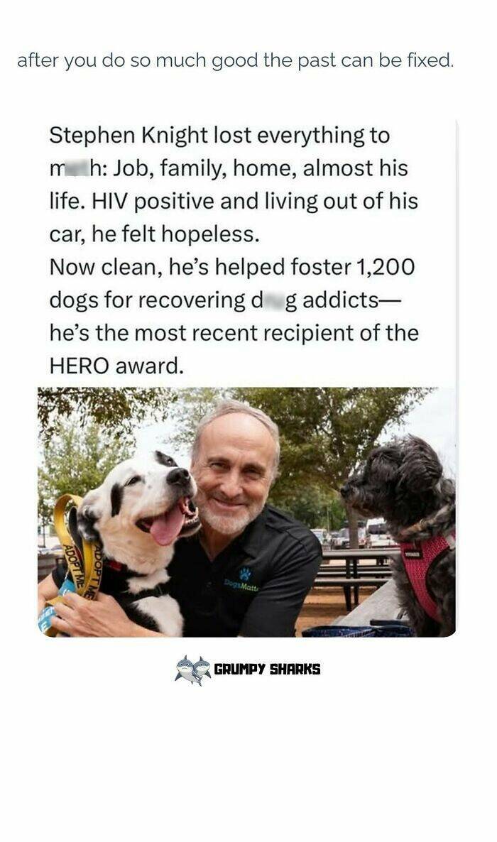 Feel-Good Moments to Brighten Your Day