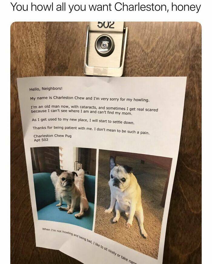 Feel-Good Moments to Brighten Your Day