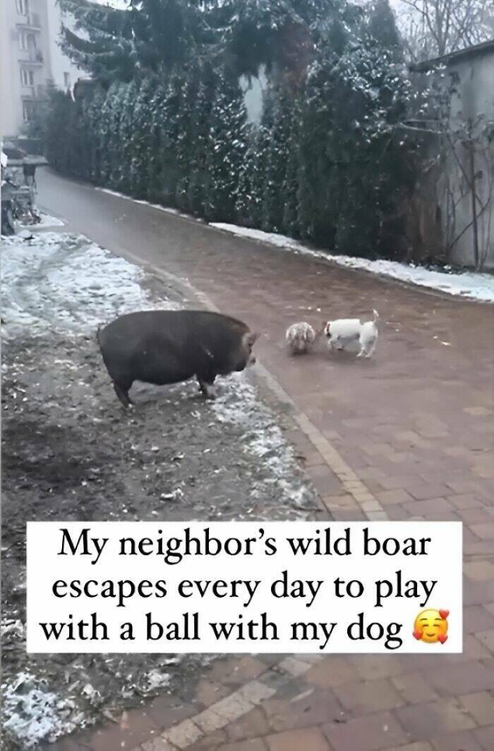 Feel-Good Moments to Brighten Your Day