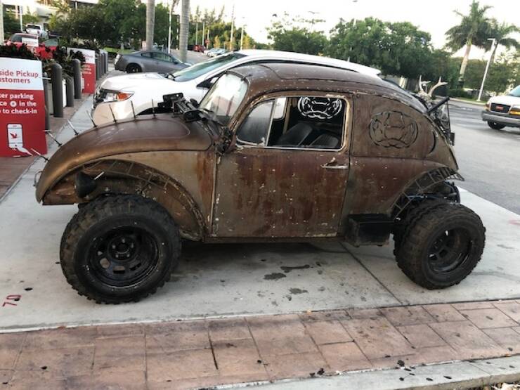 Wild Rides You Have To See To Believe