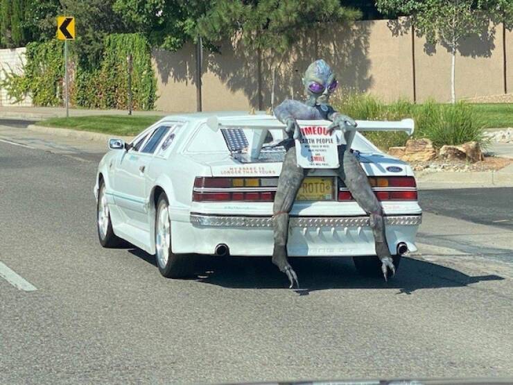 Wild Rides You Have To See To Believe