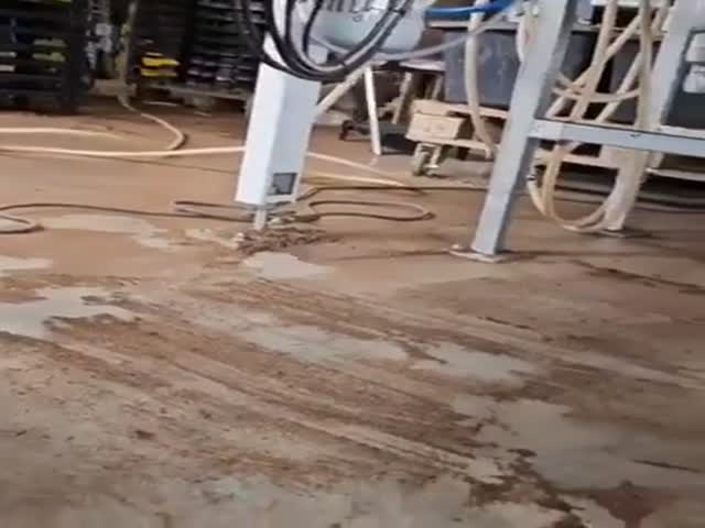 Power of a Bumble Bees Wings