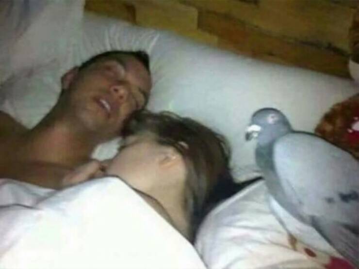 Bizarre Moments Caught Online