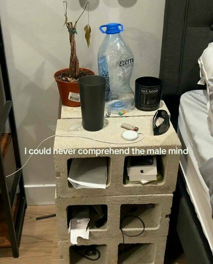 Bizarre Moments Caught Online