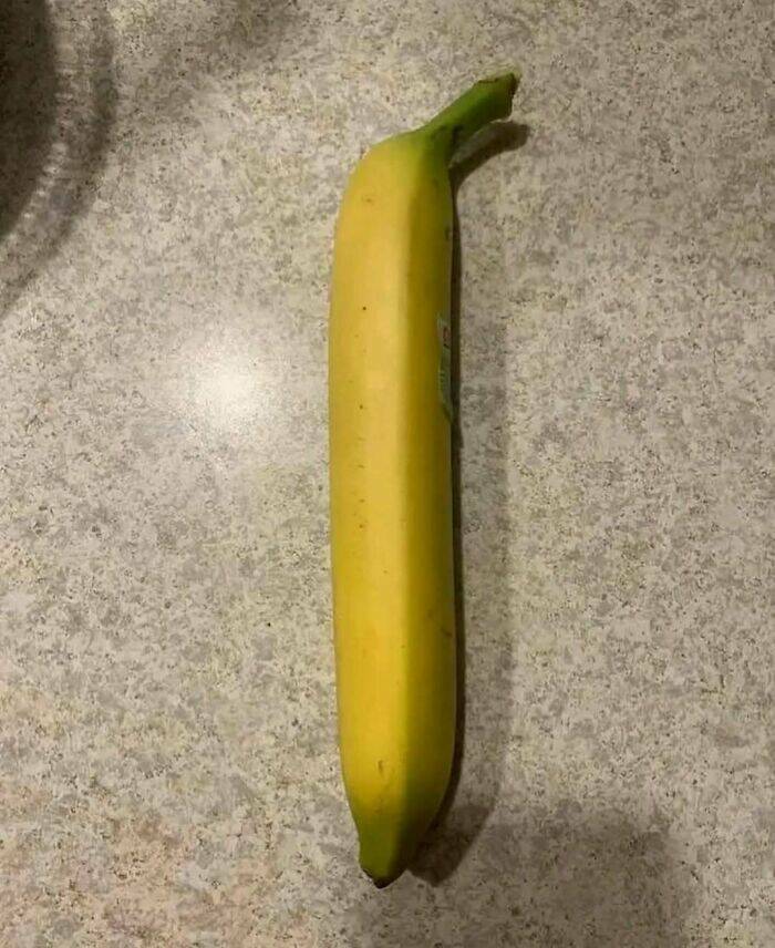 Bizarre Moments Caught Online