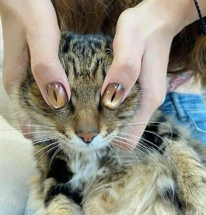 Bizarre Moments Caught Online