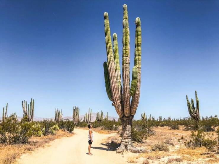 Common Survival Advice That’s Just Plain Wrong