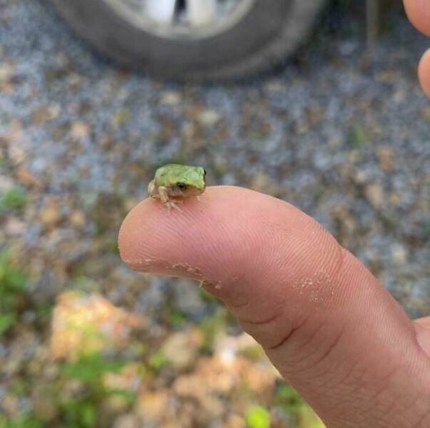 Curious Pics With Fascinating Backstories