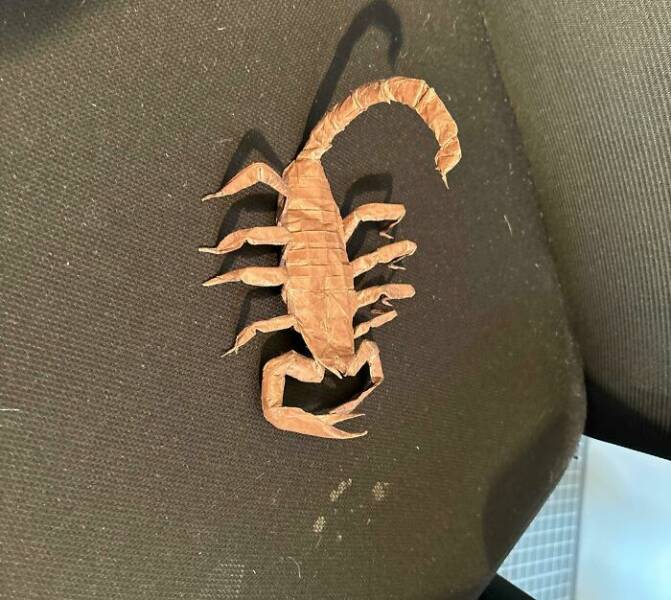 Curious Pics With Fascinating Backstories