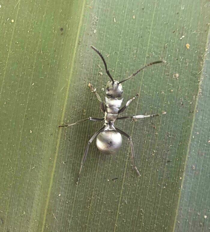 Curious Pics With Fascinating Backstories