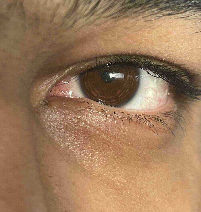 Curious Pics With Fascinating Backstories