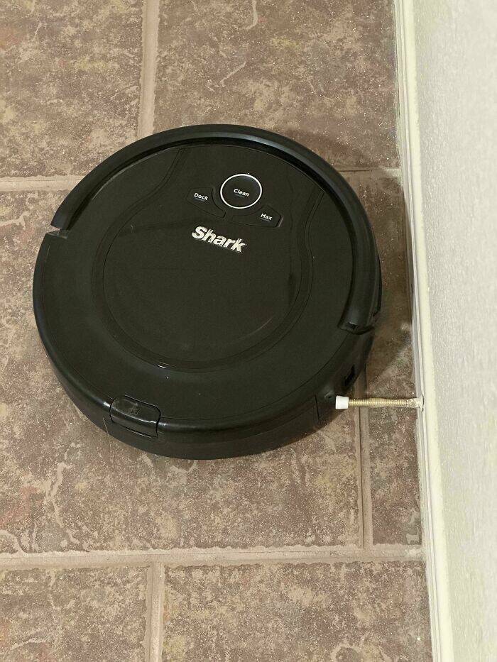 Curious Pics With Fascinating Backstories