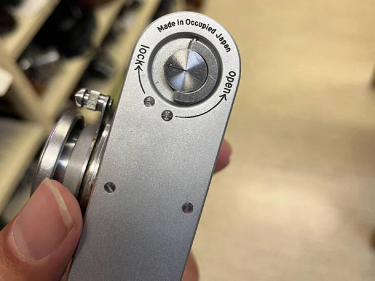 Fascinating Moments Captured on Camera