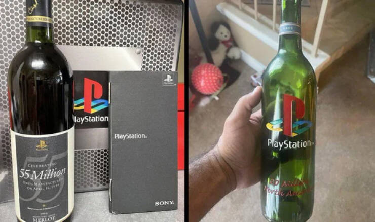 Fascinating Moments Captured on Camera