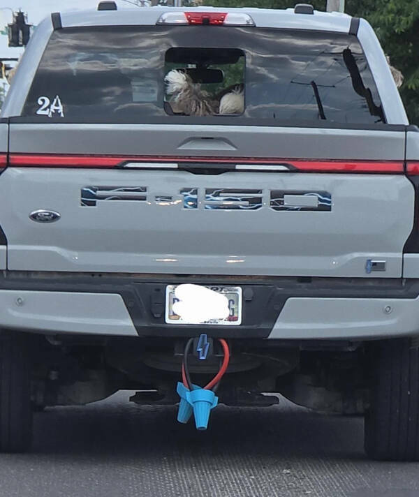 Fascinating Moments Captured on Camera