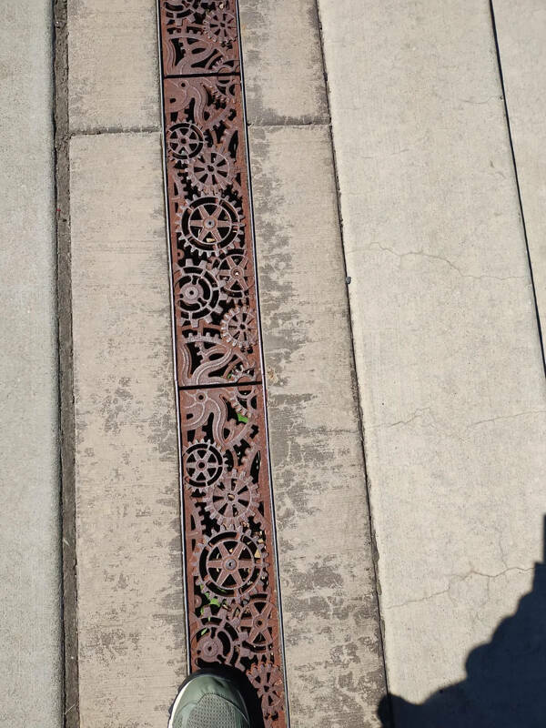 Fascinating Moments Captured on Camera