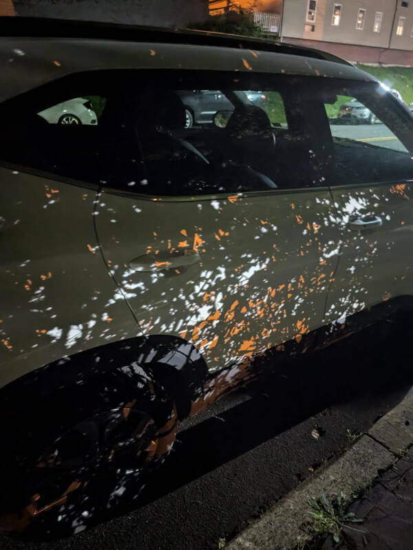 Fascinating Moments Captured on Camera