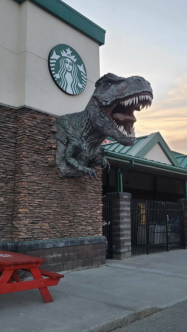 Fascinating Moments Captured on Camera