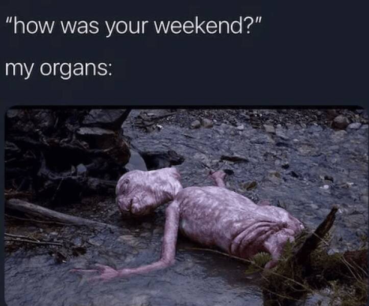 Intergalactic Laughs for Sci-Fi Fans