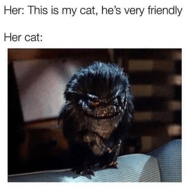 Intergalactic Laughs for Sci-Fi Fans