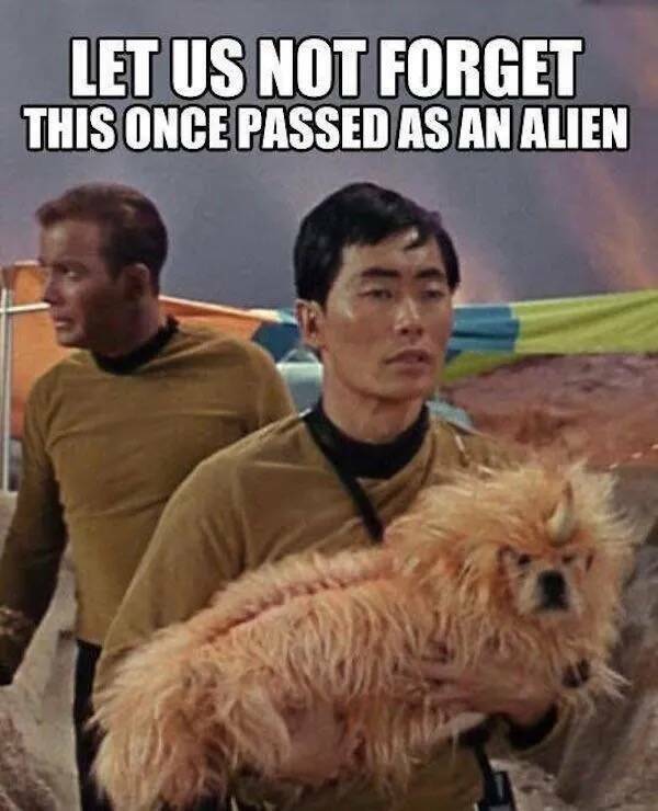 Intergalactic Laughs for Sci-Fi Fans