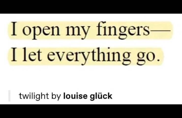 Moments That Spark a Smile