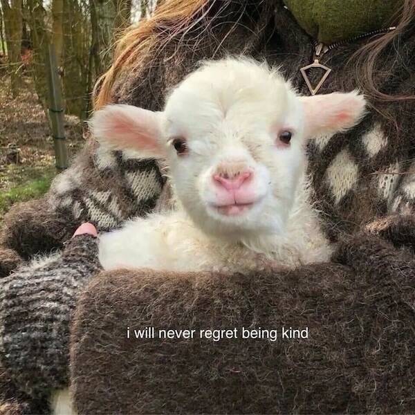 Moments That Spark a Smile