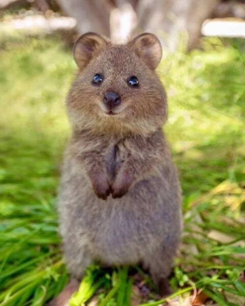 Moments That Spark a Smile