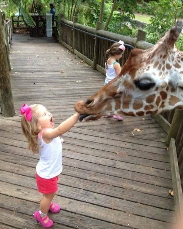 Moments That Spark a Smile