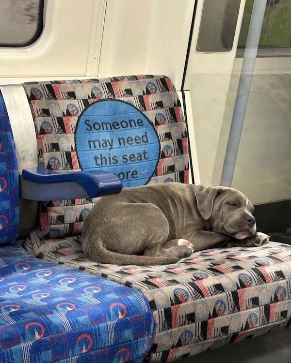 Moments That Spark a Smile